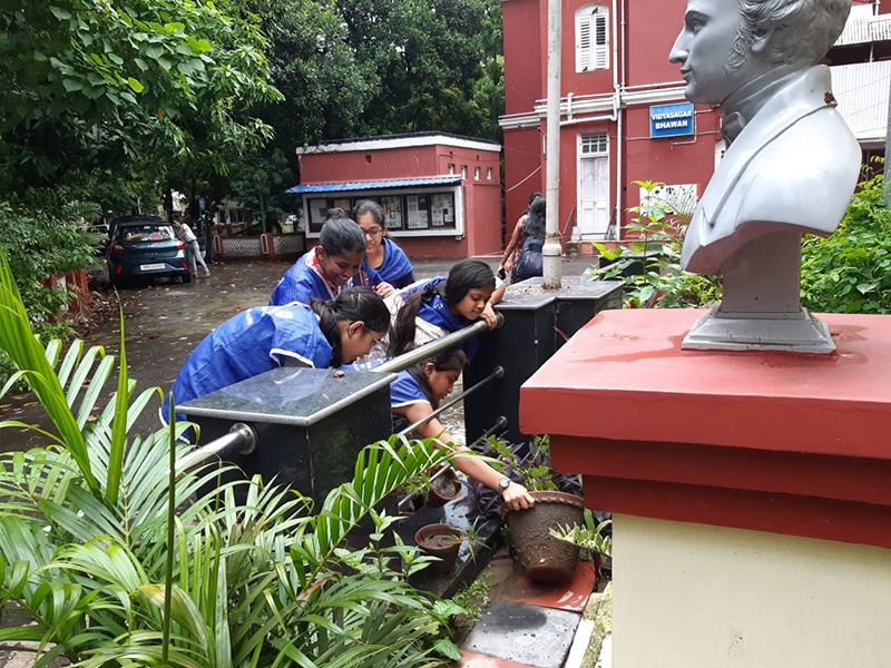 Cleanliness Drive