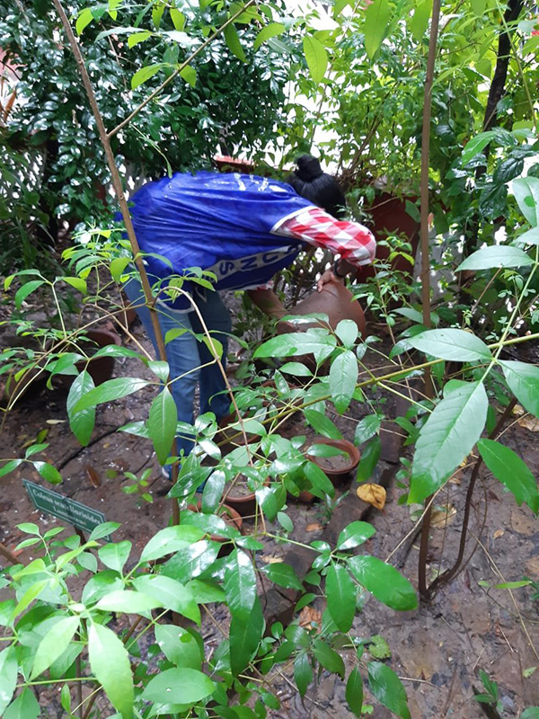 Cleanliness Drive