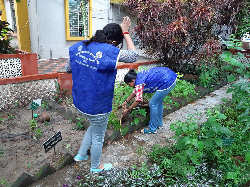 Cleanliness Drive