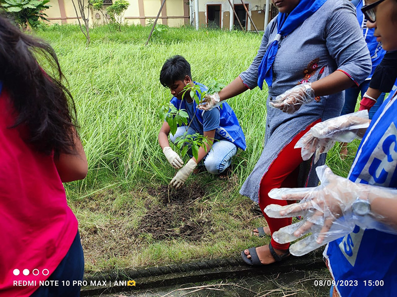 Outreach Plantation Program