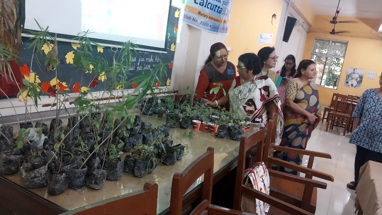 Celebration of Vanmahotsav 2025