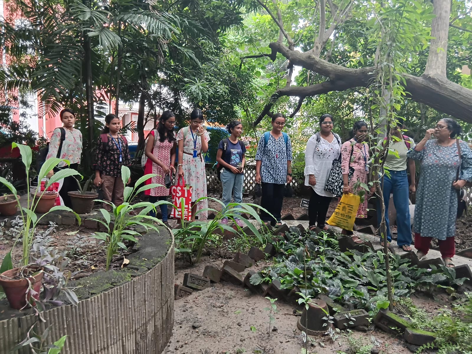 Celebration of Vanmahotsav 2025