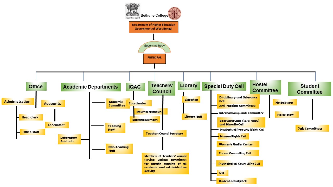 Organogram